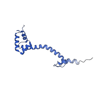 43074_8v9j_S_v1-2
Cryo-EM structure of the Mycobacterium smegmatis 70S ribosome in complex with hibernation factor Msmeg1130 (Balon) (Structure 4)