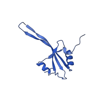 43074_8v9j_V_v1-2
Cryo-EM structure of the Mycobacterium smegmatis 70S ribosome in complex with hibernation factor Msmeg1130 (Balon) (Structure 4)