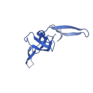 43074_8v9j_W_v1-2
Cryo-EM structure of the Mycobacterium smegmatis 70S ribosome in complex with hibernation factor Msmeg1130 (Balon) (Structure 4)