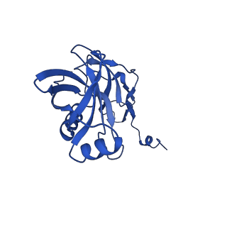 43074_8v9j_X_v1-2
Cryo-EM structure of the Mycobacterium smegmatis 70S ribosome in complex with hibernation factor Msmeg1130 (Balon) (Structure 4)