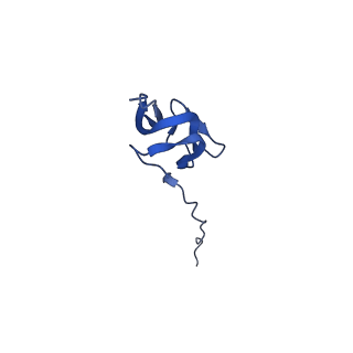 43074_8v9j_Y_v1-2
Cryo-EM structure of the Mycobacterium smegmatis 70S ribosome in complex with hibernation factor Msmeg1130 (Balon) (Structure 4)