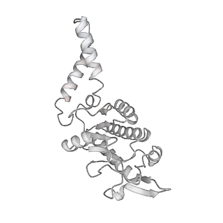 43074_8v9j_b_v1-2
Cryo-EM structure of the Mycobacterium smegmatis 70S ribosome in complex with hibernation factor Msmeg1130 (Balon) (Structure 4)