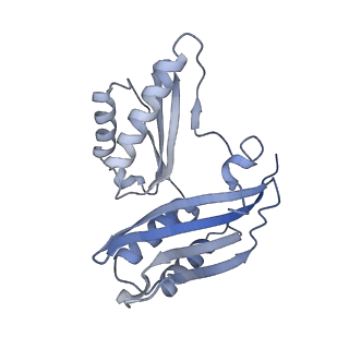 43074_8v9j_c_v1-2
Cryo-EM structure of the Mycobacterium smegmatis 70S ribosome in complex with hibernation factor Msmeg1130 (Balon) (Structure 4)