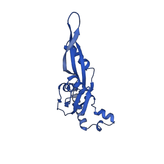 43074_8v9j_e_v1-2
Cryo-EM structure of the Mycobacterium smegmatis 70S ribosome in complex with hibernation factor Msmeg1130 (Balon) (Structure 4)