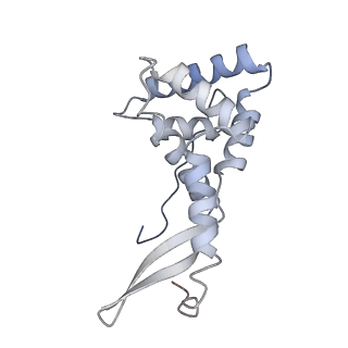 43074_8v9j_g_v1-2
Cryo-EM structure of the Mycobacterium smegmatis 70S ribosome in complex with hibernation factor Msmeg1130 (Balon) (Structure 4)