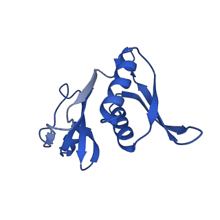 43074_8v9j_h_v1-2
Cryo-EM structure of the Mycobacterium smegmatis 70S ribosome in complex with hibernation factor Msmeg1130 (Balon) (Structure 4)