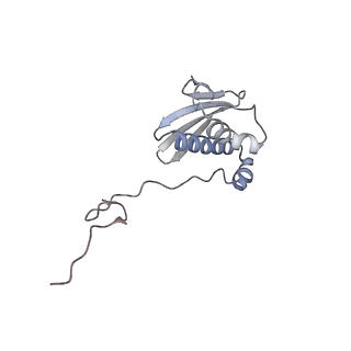 43074_8v9j_i_v1-2
Cryo-EM structure of the Mycobacterium smegmatis 70S ribosome in complex with hibernation factor Msmeg1130 (Balon) (Structure 4)