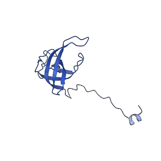 43074_8v9j_l_v1-2
Cryo-EM structure of the Mycobacterium smegmatis 70S ribosome in complex with hibernation factor Msmeg1130 (Balon) (Structure 4)