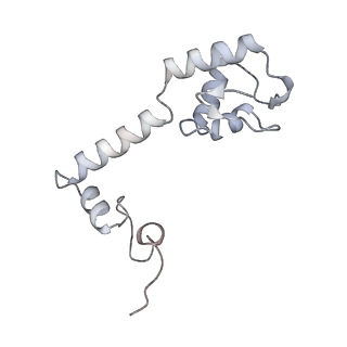 43074_8v9j_m_v1-2
Cryo-EM structure of the Mycobacterium smegmatis 70S ribosome in complex with hibernation factor Msmeg1130 (Balon) (Structure 4)