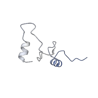 43074_8v9j_n_v1-2
Cryo-EM structure of the Mycobacterium smegmatis 70S ribosome in complex with hibernation factor Msmeg1130 (Balon) (Structure 4)