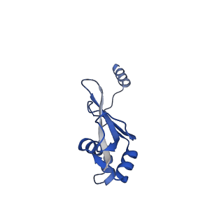 43074_8v9j_p_v1-2
Cryo-EM structure of the Mycobacterium smegmatis 70S ribosome in complex with hibernation factor Msmeg1130 (Balon) (Structure 4)