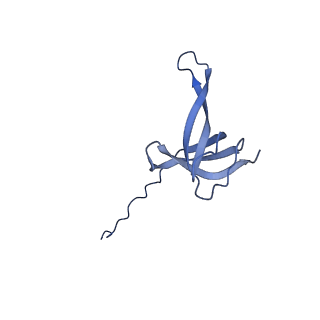 43074_8v9j_q_v1-2
Cryo-EM structure of the Mycobacterium smegmatis 70S ribosome in complex with hibernation factor Msmeg1130 (Balon) (Structure 4)