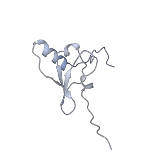 43074_8v9j_s_v1-2
Cryo-EM structure of the Mycobacterium smegmatis 70S ribosome in complex with hibernation factor Msmeg1130 (Balon) (Structure 4)