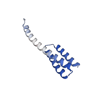 43074_8v9j_t_v1-2
Cryo-EM structure of the Mycobacterium smegmatis 70S ribosome in complex with hibernation factor Msmeg1130 (Balon) (Structure 4)