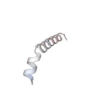 43074_8v9j_u_v1-2
Cryo-EM structure of the Mycobacterium smegmatis 70S ribosome in complex with hibernation factor Msmeg1130 (Balon) (Structure 4)