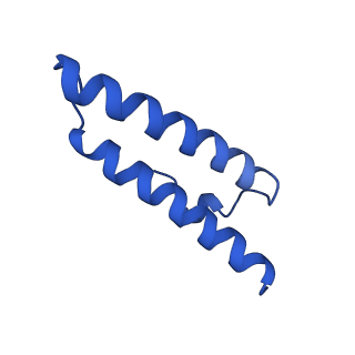 43075_8v9k_1_v1-2
Cryo-EM structure of the Mycobacterium smegmatis 70S ribosome in complex with hibernation factor Rv2629 (Balon) (Structure 5)