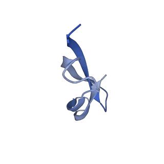 43075_8v9k_5_v1-2
Cryo-EM structure of the Mycobacterium smegmatis 70S ribosome in complex with hibernation factor Rv2629 (Balon) (Structure 5)