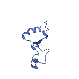 43075_8v9k_7_v1-2
Cryo-EM structure of the Mycobacterium smegmatis 70S ribosome in complex with hibernation factor Rv2629 (Balon) (Structure 5)