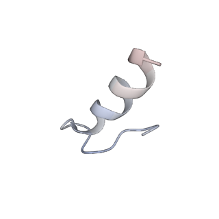 43075_8v9k_9_v1-2
Cryo-EM structure of the Mycobacterium smegmatis 70S ribosome in complex with hibernation factor Rv2629 (Balon) (Structure 5)