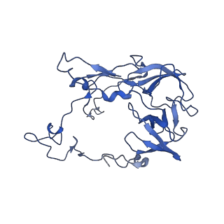 43075_8v9k_C_v1-2
Cryo-EM structure of the Mycobacterium smegmatis 70S ribosome in complex with hibernation factor Rv2629 (Balon) (Structure 5)