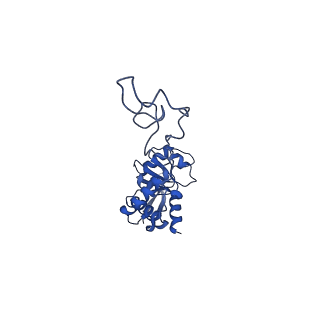 43075_8v9k_E_v1-2
Cryo-EM structure of the Mycobacterium smegmatis 70S ribosome in complex with hibernation factor Rv2629 (Balon) (Structure 5)