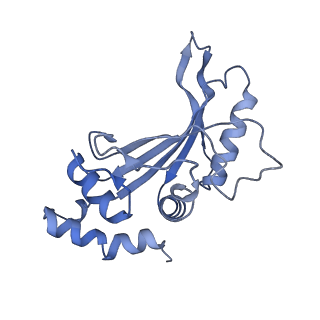 43075_8v9k_F_v1-2
Cryo-EM structure of the Mycobacterium smegmatis 70S ribosome in complex with hibernation factor Rv2629 (Balon) (Structure 5)