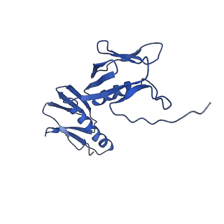 43075_8v9k_G_v1-2
Cryo-EM structure of the Mycobacterium smegmatis 70S ribosome in complex with hibernation factor Rv2629 (Balon) (Structure 5)