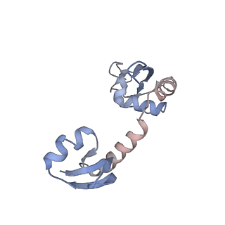 43075_8v9k_H_v1-2
Cryo-EM structure of the Mycobacterium smegmatis 70S ribosome in complex with hibernation factor Rv2629 (Balon) (Structure 5)