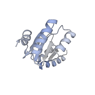 43075_8v9k_I_v1-2
Cryo-EM structure of the Mycobacterium smegmatis 70S ribosome in complex with hibernation factor Rv2629 (Balon) (Structure 5)