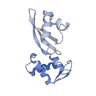 43075_8v9k_J_v1-2
Cryo-EM structure of the Mycobacterium smegmatis 70S ribosome in complex with hibernation factor Rv2629 (Balon) (Structure 5)