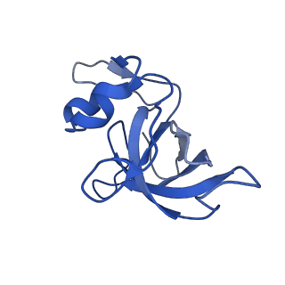 43075_8v9k_M_v1-2
Cryo-EM structure of the Mycobacterium smegmatis 70S ribosome in complex with hibernation factor Rv2629 (Balon) (Structure 5)