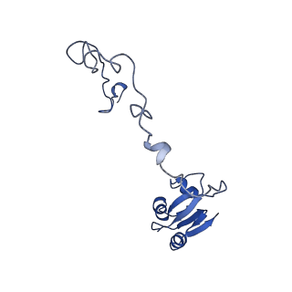 43075_8v9k_N_v1-2
Cryo-EM structure of the Mycobacterium smegmatis 70S ribosome in complex with hibernation factor Rv2629 (Balon) (Structure 5)