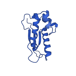 43075_8v9k_P_v1-2
Cryo-EM structure of the Mycobacterium smegmatis 70S ribosome in complex with hibernation factor Rv2629 (Balon) (Structure 5)