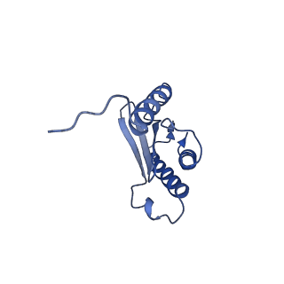 43075_8v9k_Q_v1-2
Cryo-EM structure of the Mycobacterium smegmatis 70S ribosome in complex with hibernation factor Rv2629 (Balon) (Structure 5)