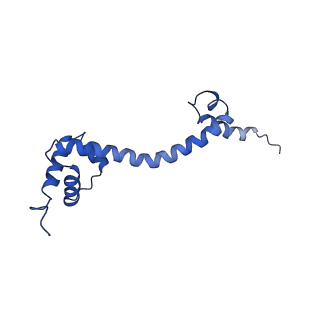 43075_8v9k_S_v1-2
Cryo-EM structure of the Mycobacterium smegmatis 70S ribosome in complex with hibernation factor Rv2629 (Balon) (Structure 5)