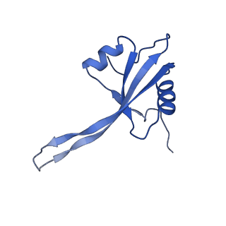 43075_8v9k_V_v1-2
Cryo-EM structure of the Mycobacterium smegmatis 70S ribosome in complex with hibernation factor Rv2629 (Balon) (Structure 5)