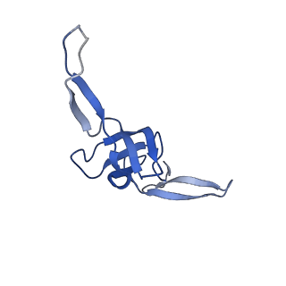 43075_8v9k_W_v1-2
Cryo-EM structure of the Mycobacterium smegmatis 70S ribosome in complex with hibernation factor Rv2629 (Balon) (Structure 5)