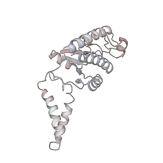 43075_8v9k_b_v1-2
Cryo-EM structure of the Mycobacterium smegmatis 70S ribosome in complex with hibernation factor Rv2629 (Balon) (Structure 5)