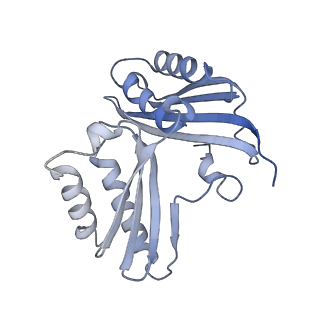 43075_8v9k_c_v1-2
Cryo-EM structure of the Mycobacterium smegmatis 70S ribosome in complex with hibernation factor Rv2629 (Balon) (Structure 5)
