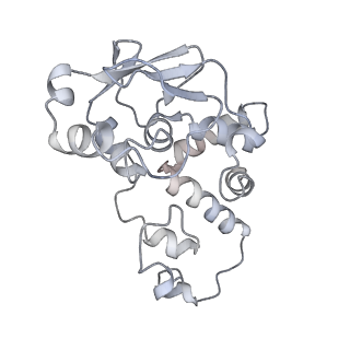 43075_8v9k_d_v1-2
Cryo-EM structure of the Mycobacterium smegmatis 70S ribosome in complex with hibernation factor Rv2629 (Balon) (Structure 5)