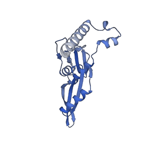 43075_8v9k_e_v1-2
Cryo-EM structure of the Mycobacterium smegmatis 70S ribosome in complex with hibernation factor Rv2629 (Balon) (Structure 5)