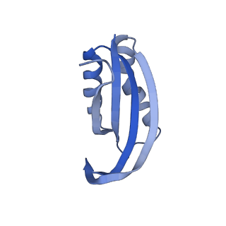 43075_8v9k_f_v1-2
Cryo-EM structure of the Mycobacterium smegmatis 70S ribosome in complex with hibernation factor Rv2629 (Balon) (Structure 5)