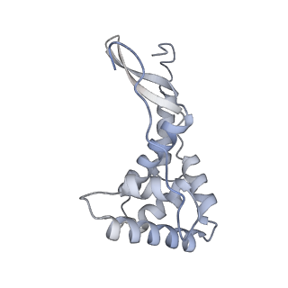 43075_8v9k_g_v1-2
Cryo-EM structure of the Mycobacterium smegmatis 70S ribosome in complex with hibernation factor Rv2629 (Balon) (Structure 5)