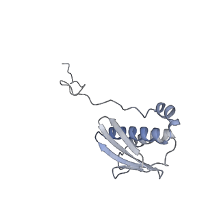 43075_8v9k_i_v1-2
Cryo-EM structure of the Mycobacterium smegmatis 70S ribosome in complex with hibernation factor Rv2629 (Balon) (Structure 5)