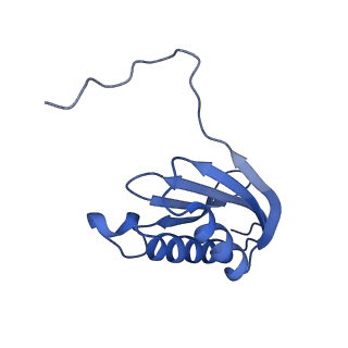 43075_8v9k_k_v1-2
Cryo-EM structure of the Mycobacterium smegmatis 70S ribosome in complex with hibernation factor Rv2629 (Balon) (Structure 5)