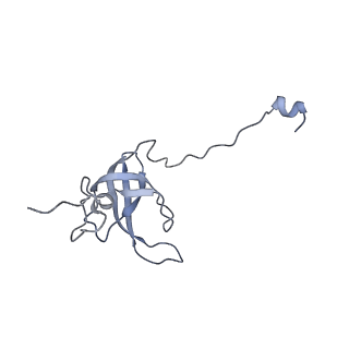 43075_8v9k_l_v1-2
Cryo-EM structure of the Mycobacterium smegmatis 70S ribosome in complex with hibernation factor Rv2629 (Balon) (Structure 5)