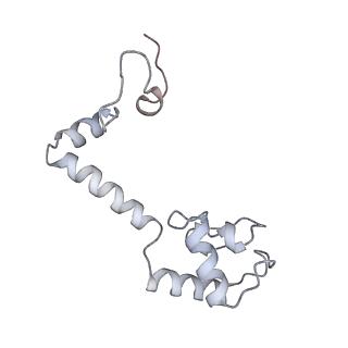 43075_8v9k_m_v1-2
Cryo-EM structure of the Mycobacterium smegmatis 70S ribosome in complex with hibernation factor Rv2629 (Balon) (Structure 5)