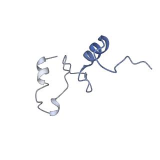 43075_8v9k_n_v1-2
Cryo-EM structure of the Mycobacterium smegmatis 70S ribosome in complex with hibernation factor Rv2629 (Balon) (Structure 5)