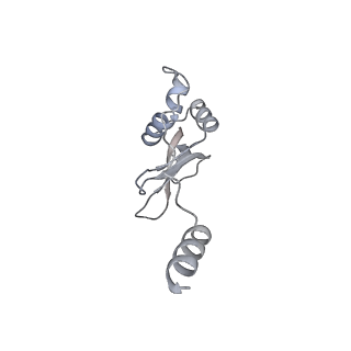 43075_8v9k_p_v1-2
Cryo-EM structure of the Mycobacterium smegmatis 70S ribosome in complex with hibernation factor Rv2629 (Balon) (Structure 5)