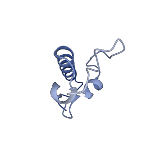 43075_8v9k_r_v1-2
Cryo-EM structure of the Mycobacterium smegmatis 70S ribosome in complex with hibernation factor Rv2629 (Balon) (Structure 5)